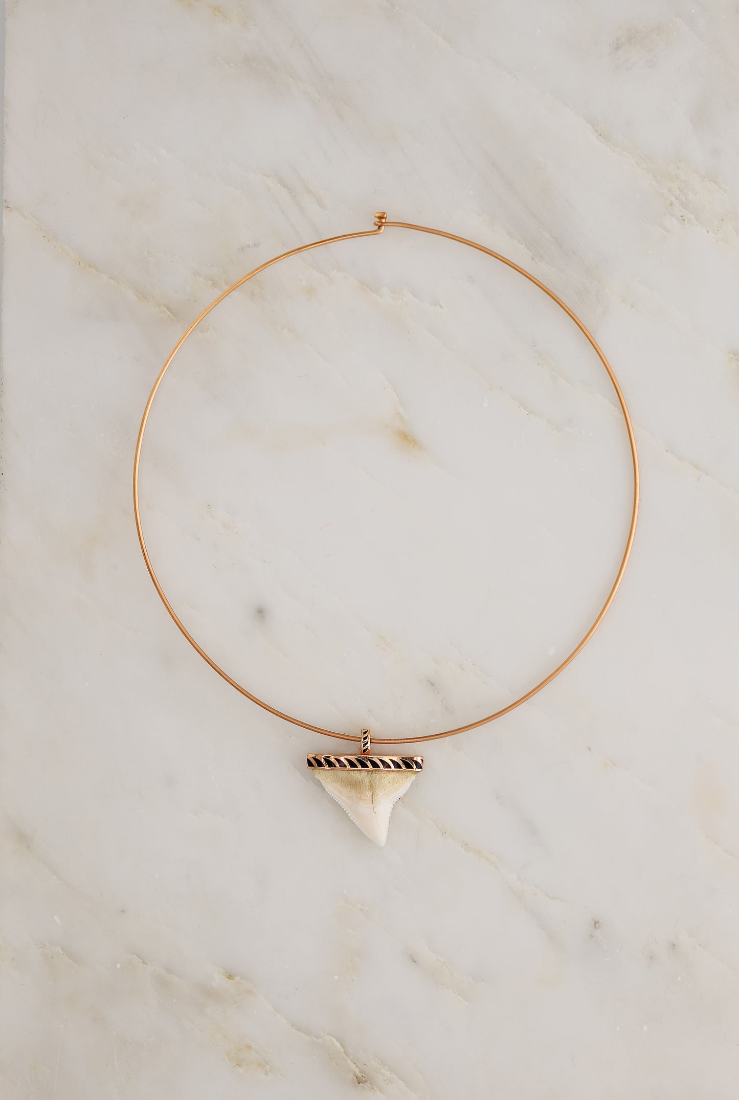 Grande Shark Tooth with Shark Fin Enameling