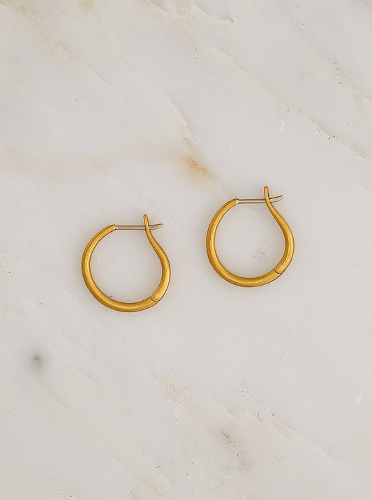 20mm Hinged Hoop and Hook Earrings